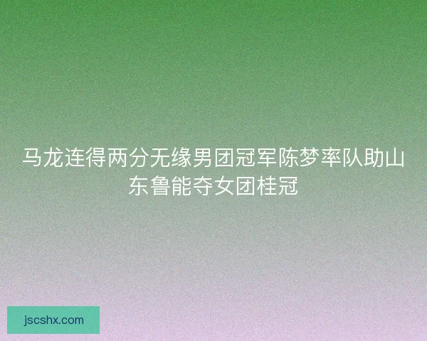 马龙连得两分无缘男团冠军陈梦率队助山东鲁能夺女团桂冠